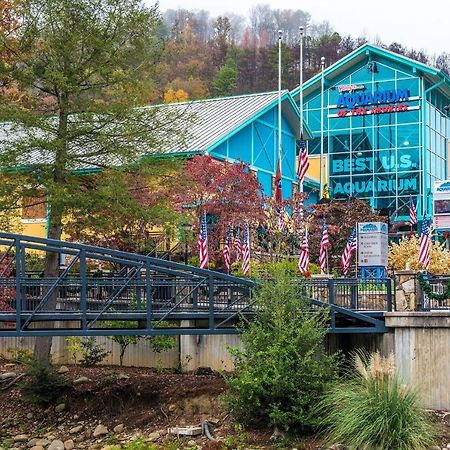 Bear View Chalet, 3 Bedroom, Pool, Pets, Arcades, Wifi, Hot Tub, Sleeps 12 Gatlinburg Exterior photo